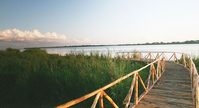 The Danube Delta