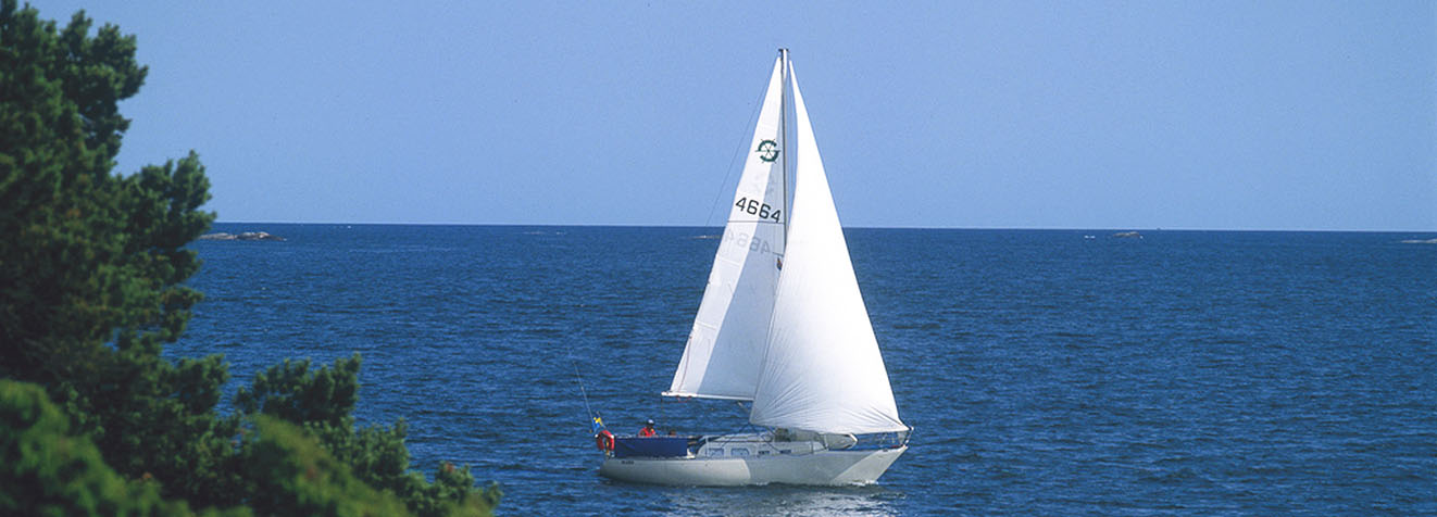 Boat tours