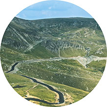 Transalpina