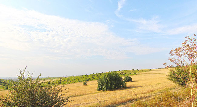 The Danube Delta