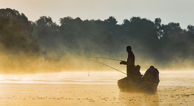 The Danube Delta