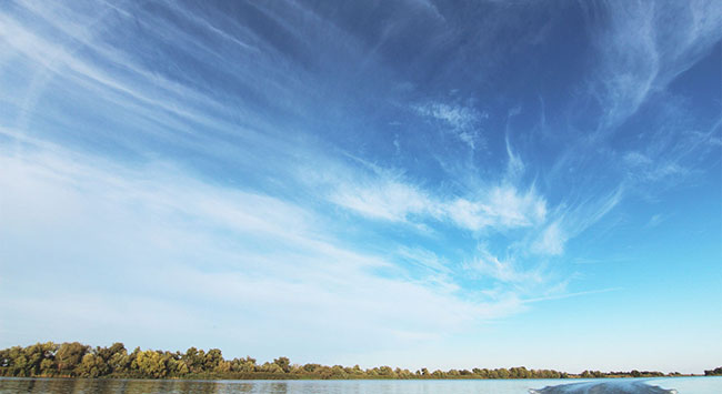 The Danube Delta